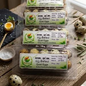 காடை முட்டை | Kaadai Muttai | Quail Egg Pack