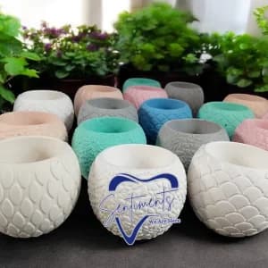 Indoor Plant Pot - 05