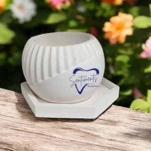 Indoor Plant Pot - 06